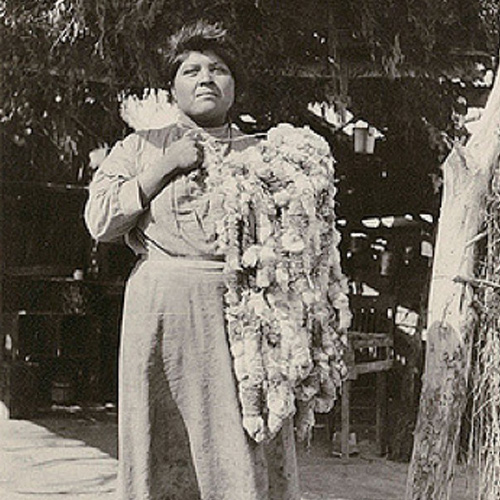 Photograph of Native American woman holding a rabbit fur cape.